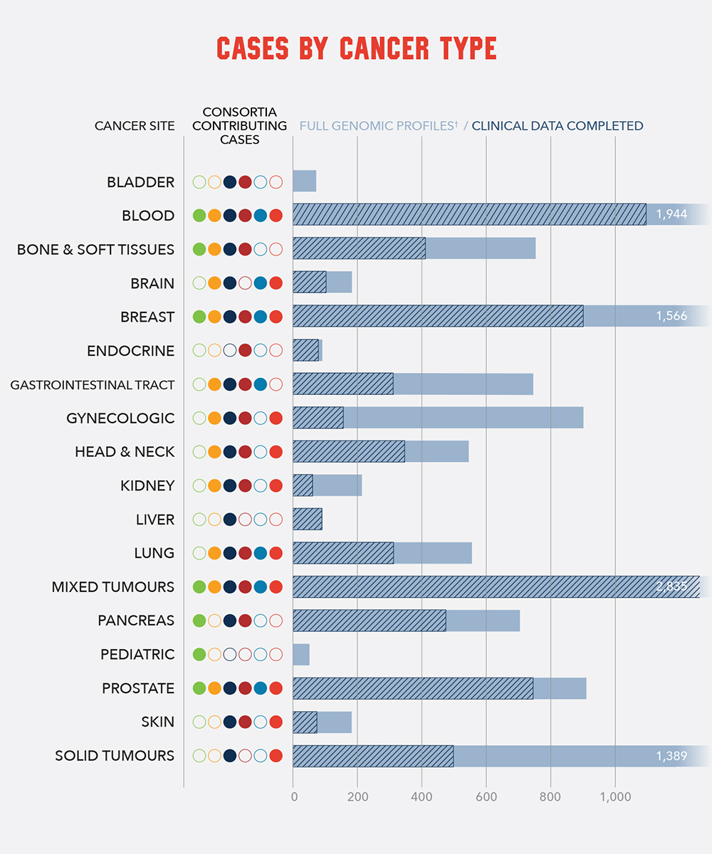 Case by Cancer Type