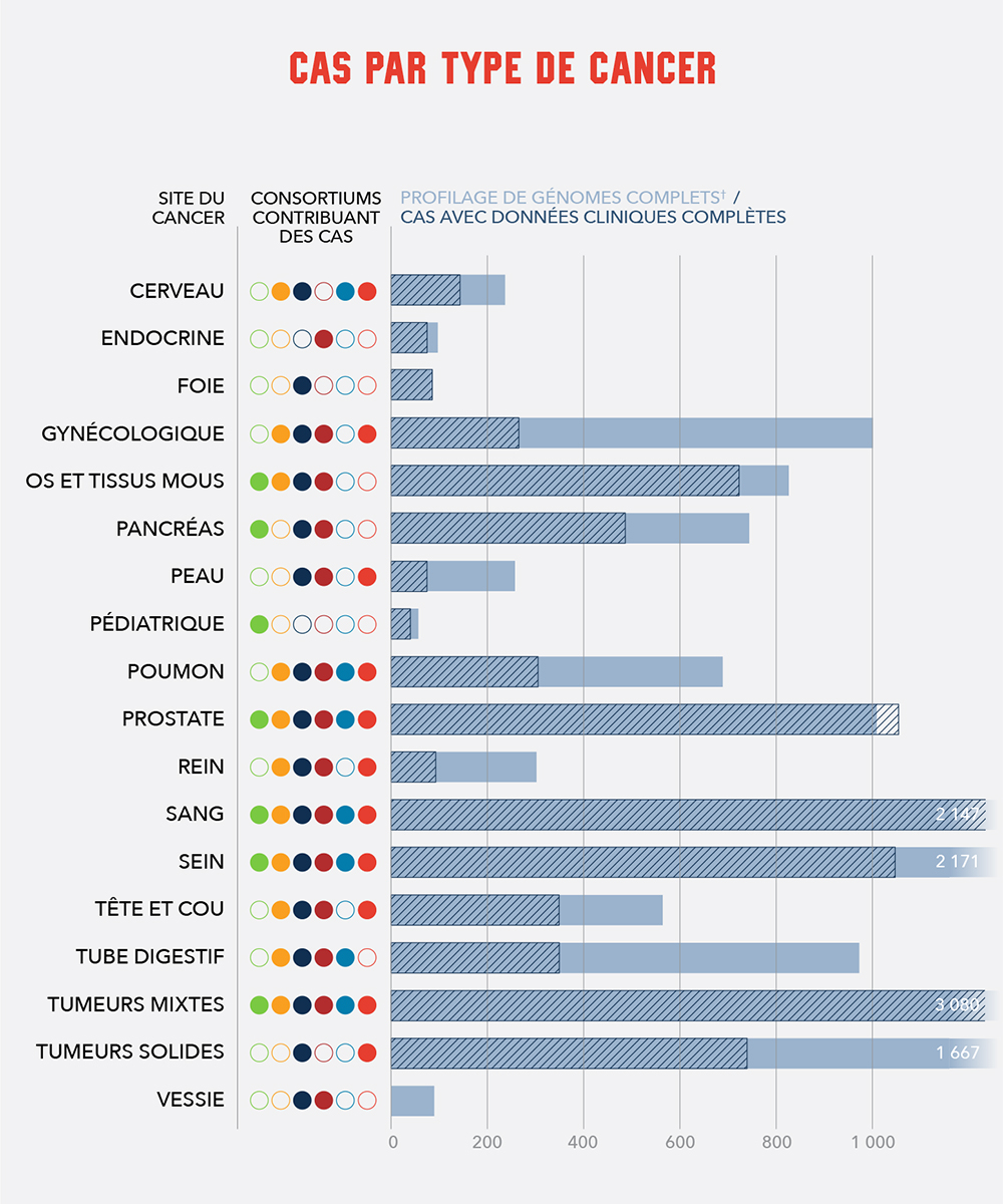 Case by Cancer Type