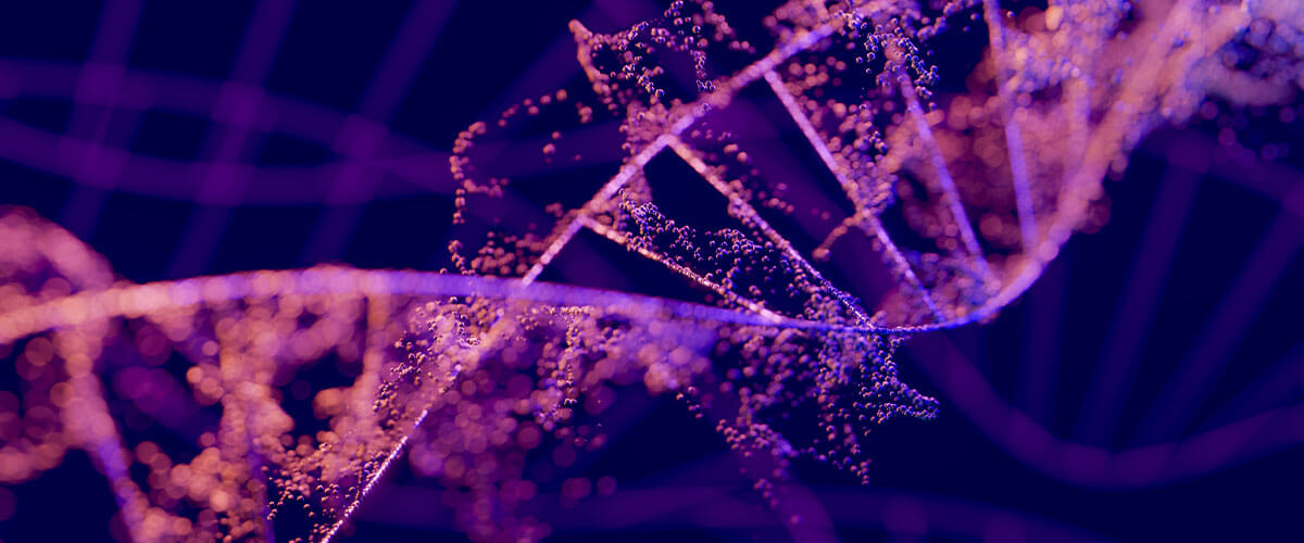 Digital illustration of DNA in dark blue and pink